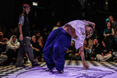 DSC08384