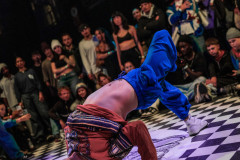 DSC08568