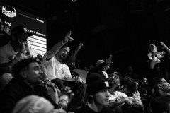 DSC08619
